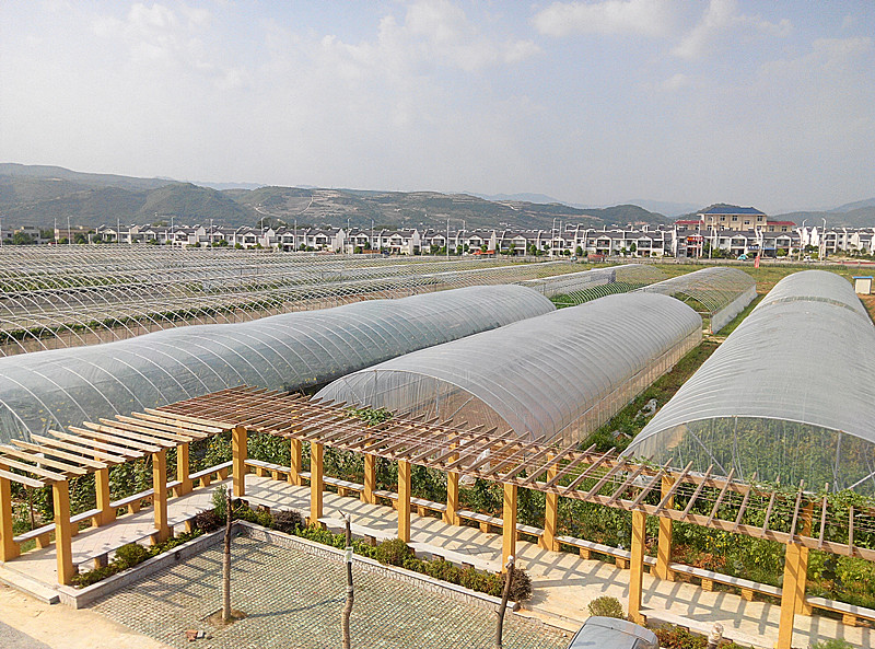 �y�(y��ng)�^(q��)�r(n��ng)���г��P(gu��n)֧�����L(zh��ng)����Aһ��ǰ�������r(n��ng)�I(y��)��˾���L�{(di��o)��